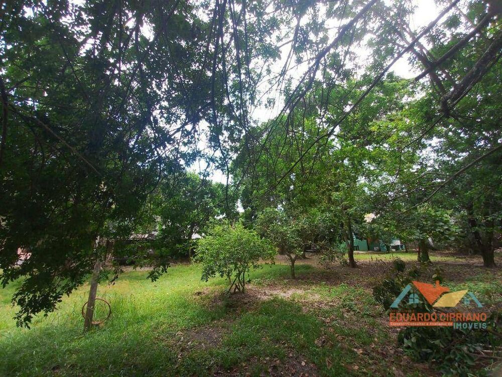 Casa, 6 quartos, 300 m² - Foto 7