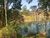 Terreno, 3 hectares - Foto 1