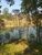 Terreno, 3 hectares - Foto 3