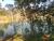 Terreno, 3 hectares - Foto 2