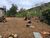 Chácara, 2 quartos, 2 hectares - Foto 1