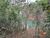 Chácara, 2 quartos, 2 hectares - Foto 3