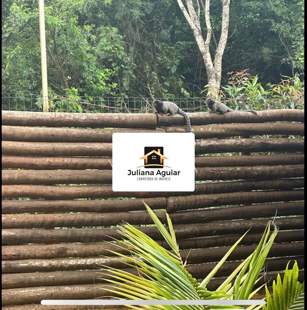 Sítio, 4 quartos, 500 m² - Foto 14