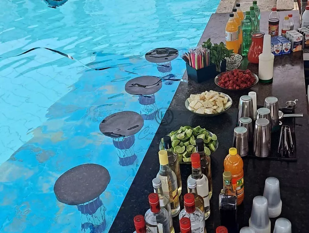 Sítio, 15 quartos, 4 hectares - Foto 3