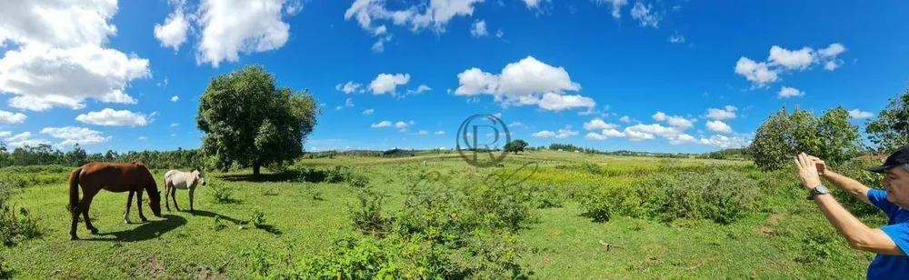 Fazenda, 252 hectares - Foto 20