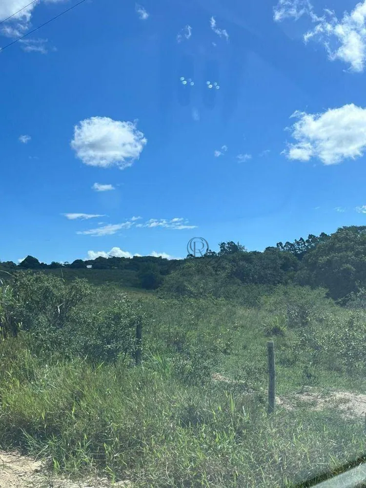 Fazenda, 252 hectares - Foto 25