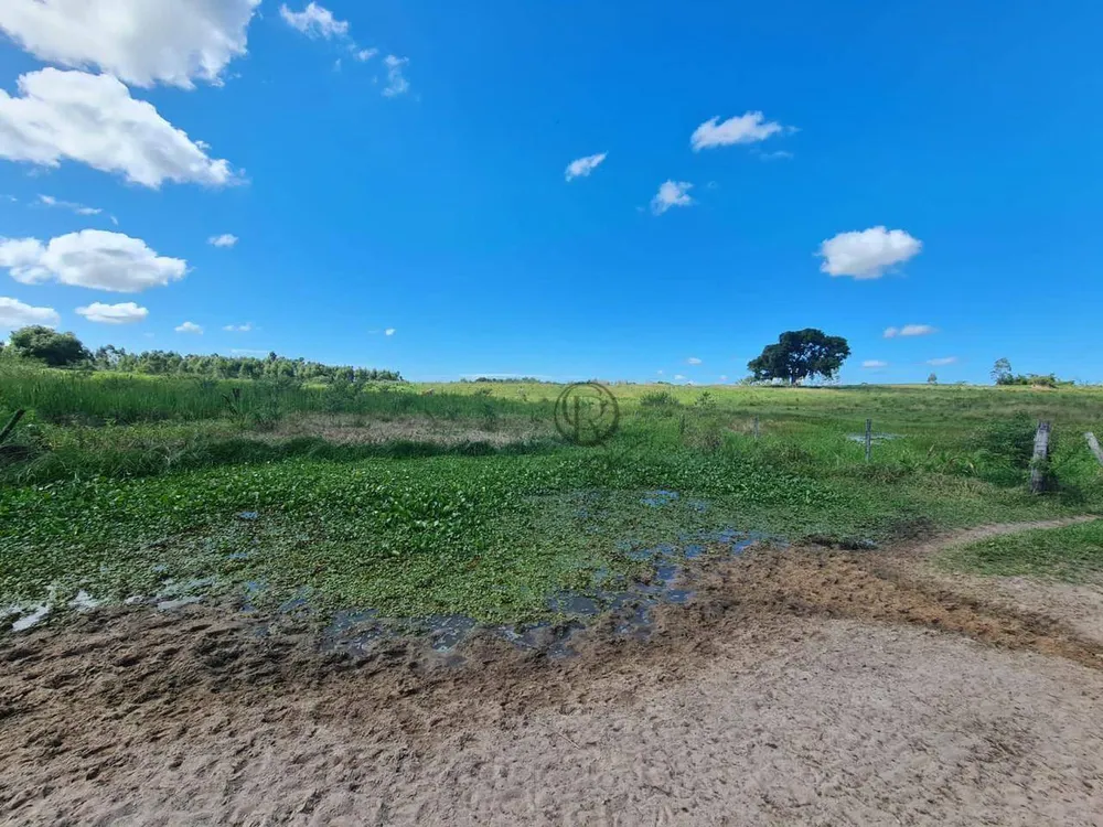 Fazenda, 252 hectares - Foto 17