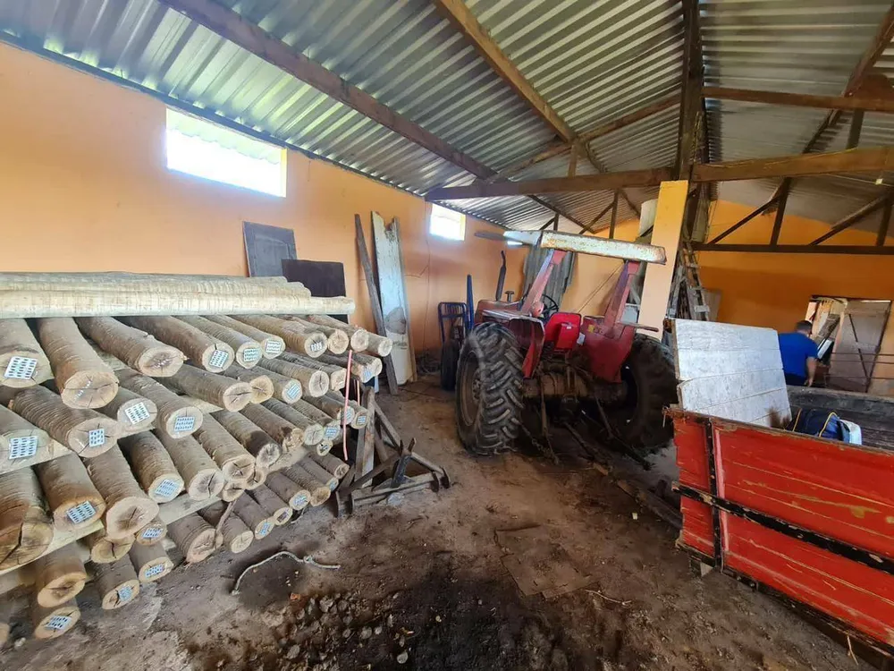 Fazenda, 252 hectares - Foto 8