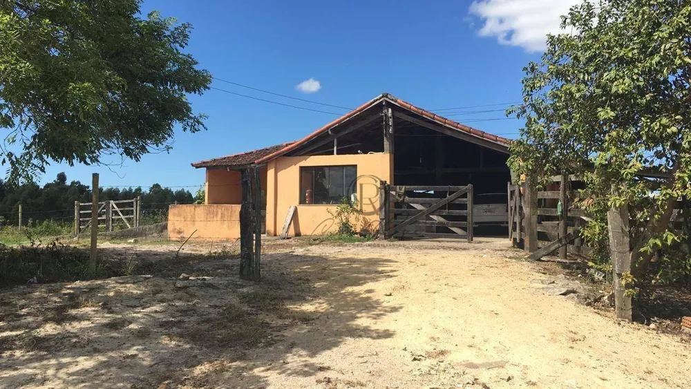 Fazenda, 252 hectares - Foto 11