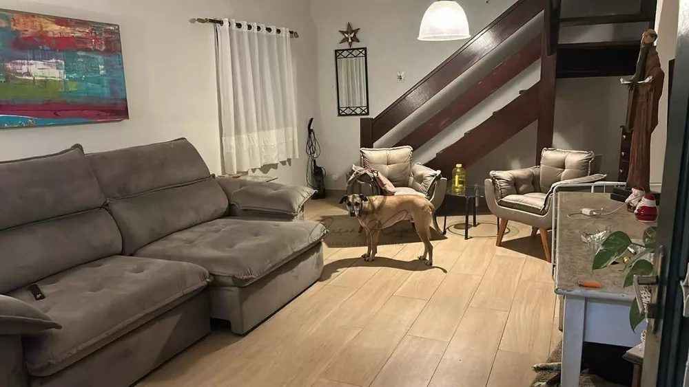 Casa, 4 quartos, 311 m² - Foto 3
