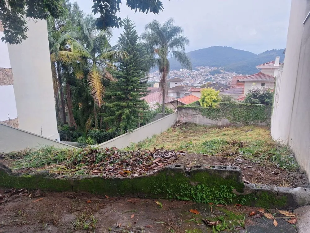 Terreno, 323 m² - Foto 3