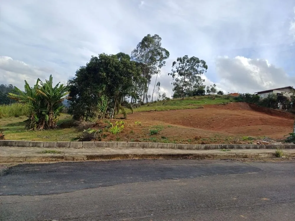 Loteamento e Condomínio, 5650 m² - Foto 2