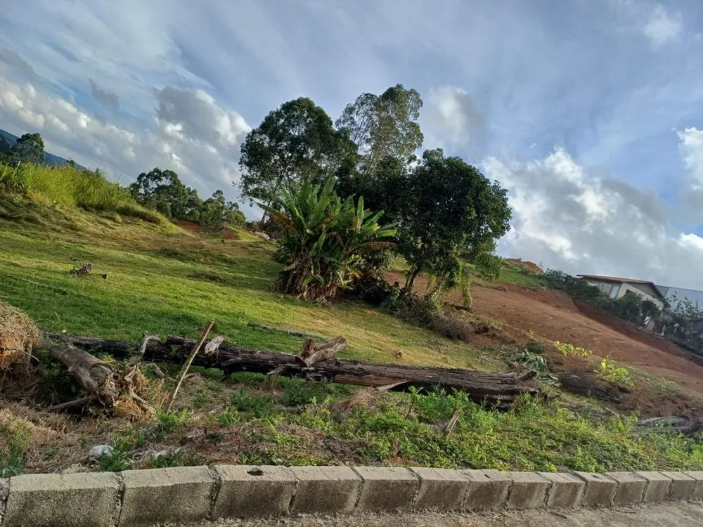 Loteamento e Condomínio, 5650 m² - Foto 4