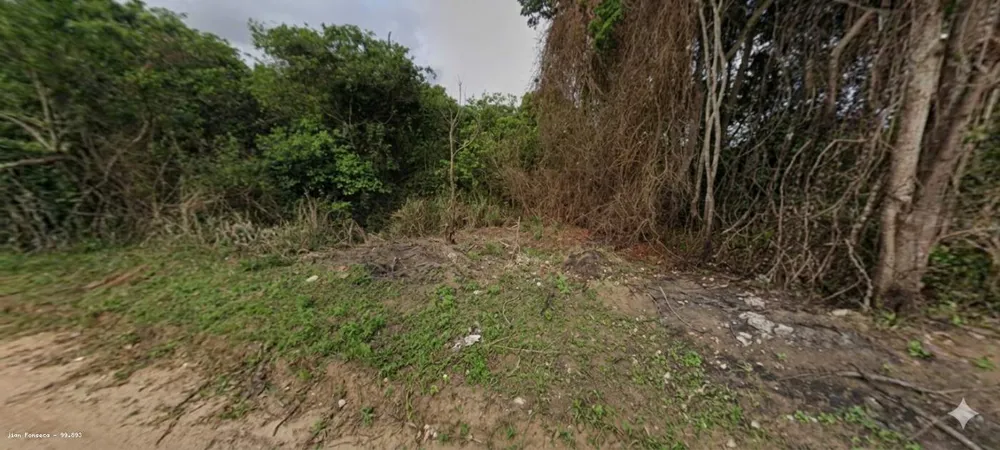 Terreno, 600 m² - Foto 3