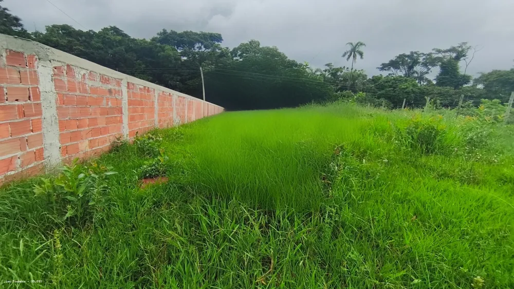Terreno, 525 m² - Foto 6