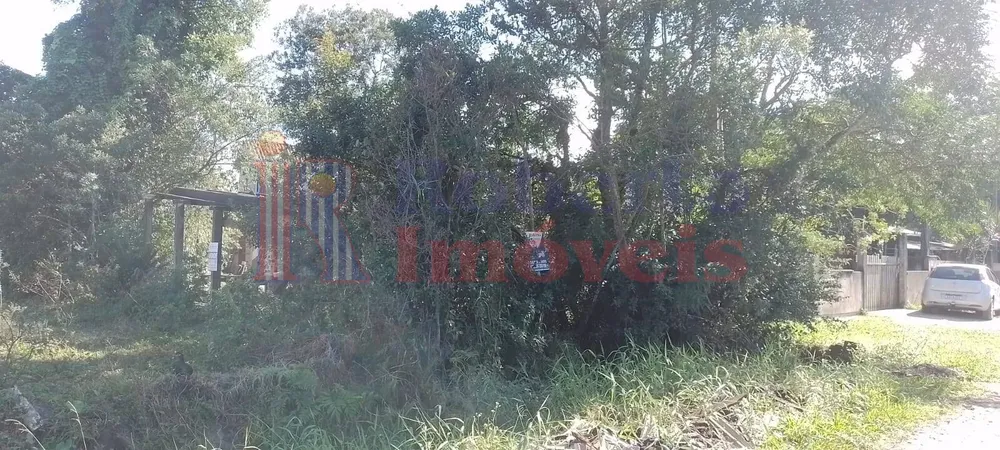 Terreno, 494 m² - Foto 5