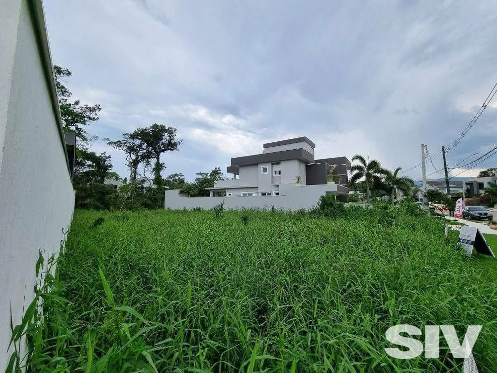 Terreno, 533 m² - Foto 1