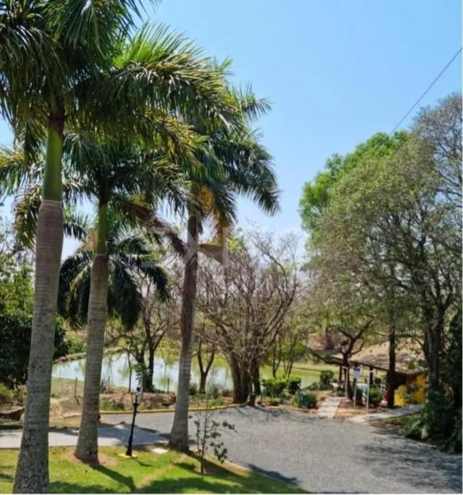Terreno, 250 m² - Foto 3