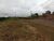 Loteamento e Condomínio, 6240 m² - Foto 2