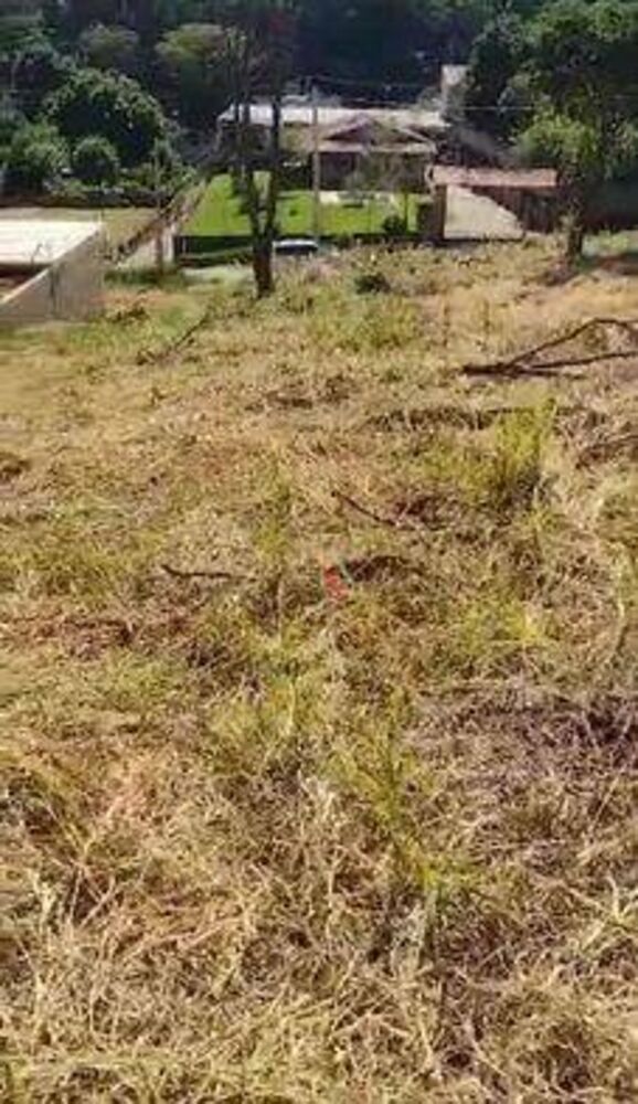 Terreno, 1000 m² - Foto 1