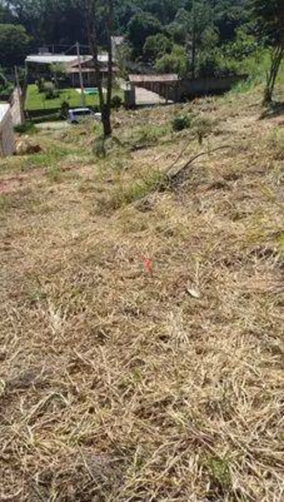 Terreno, 1000 m² - Foto 3