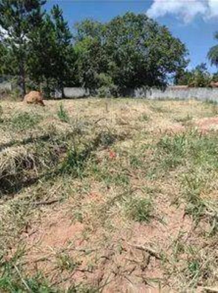 Terreno, 1000 m² - Foto 2