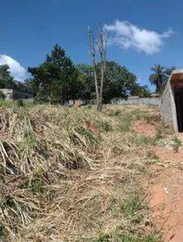 Terreno, 1000 m² - Foto 4