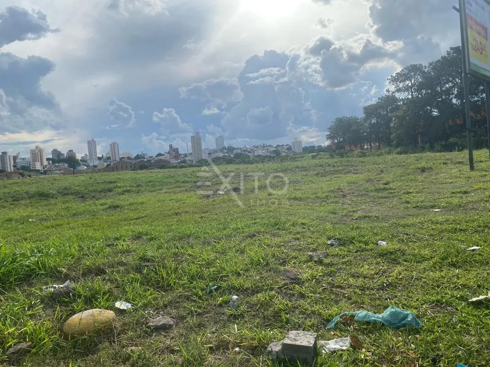 Terreno, 250 hectares - Foto 6