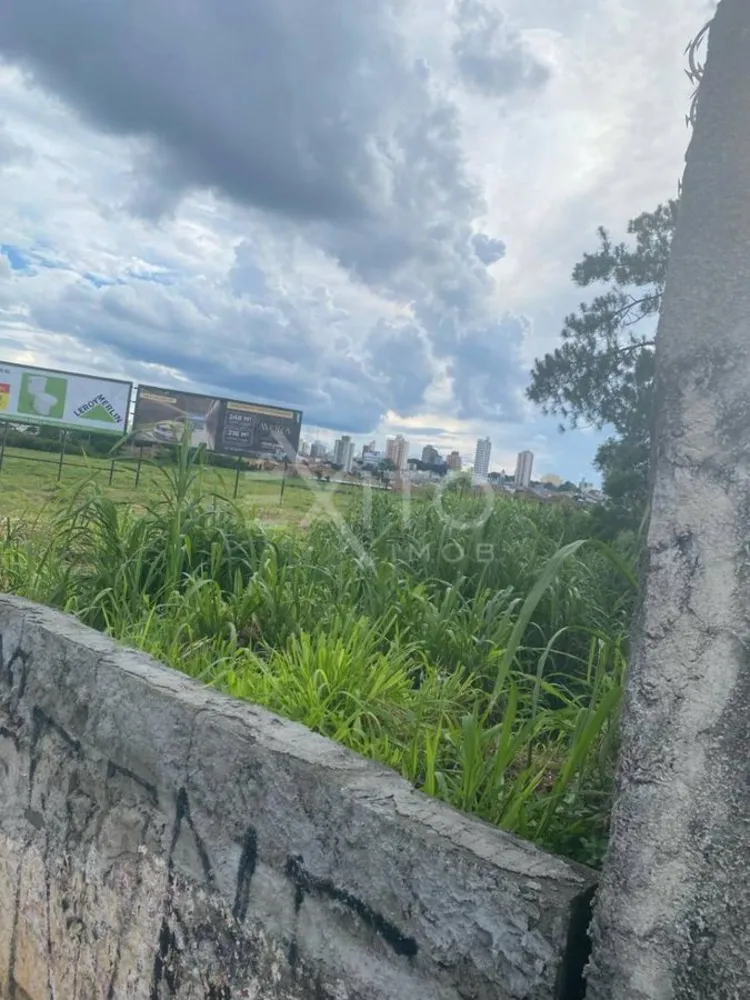 Terreno, 250 hectares - Foto 3