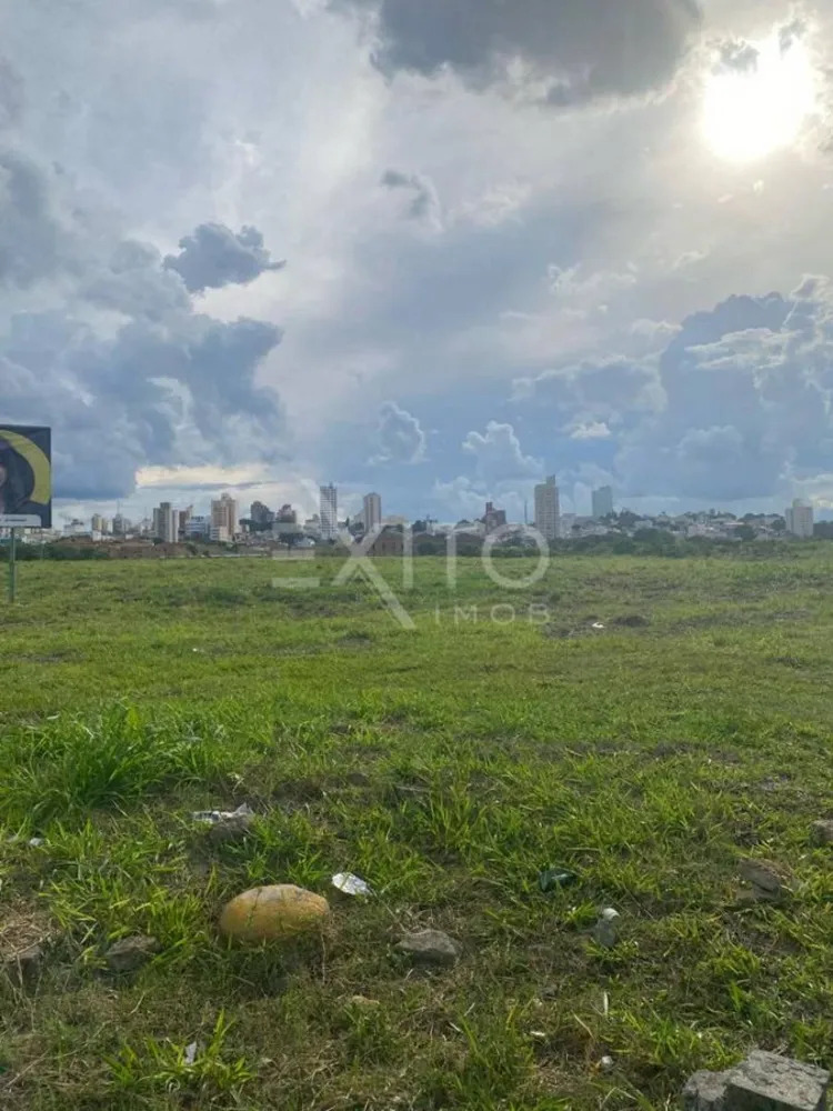 Terreno, 250 hectares - Foto 1