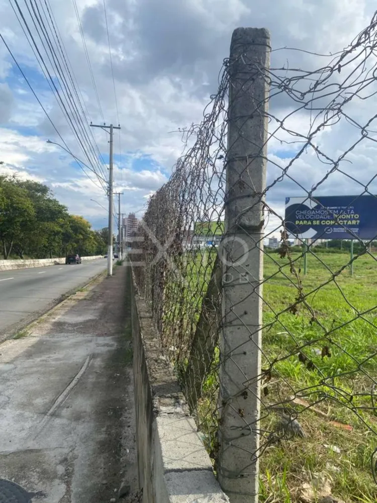 Terreno, 250 hectares - Foto 1