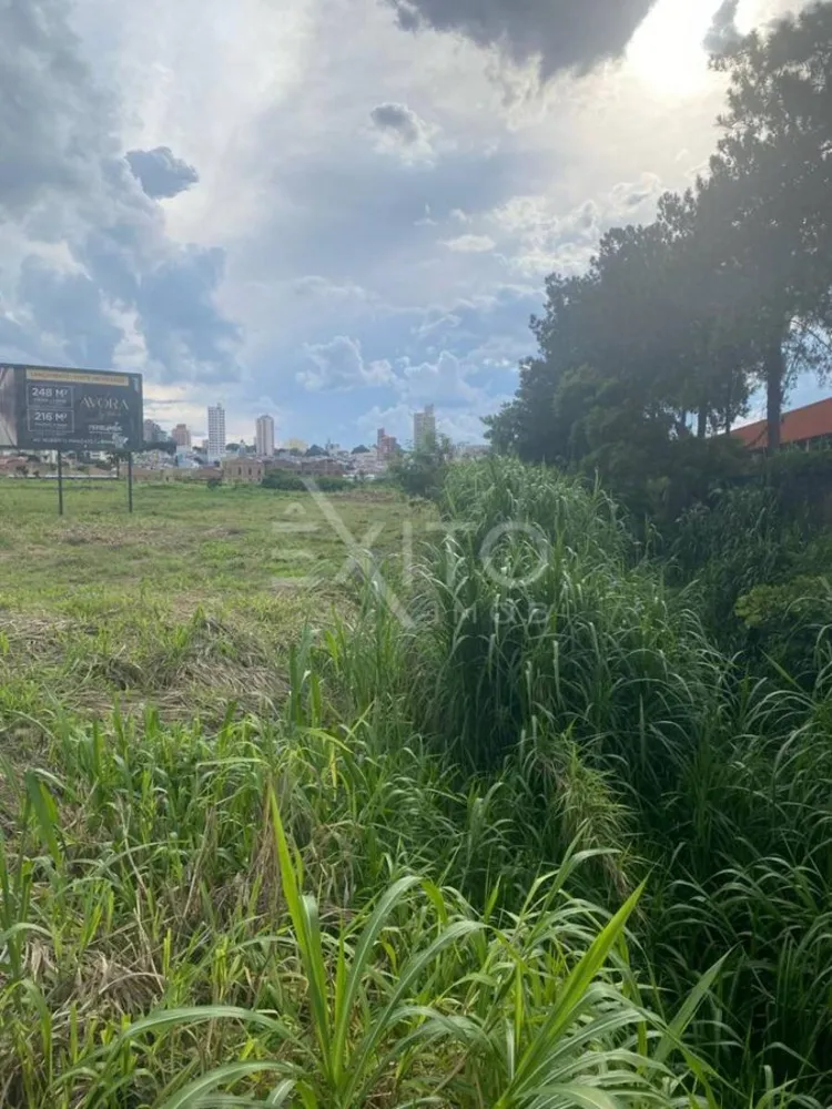 Terreno, 205 hectares - Foto 7