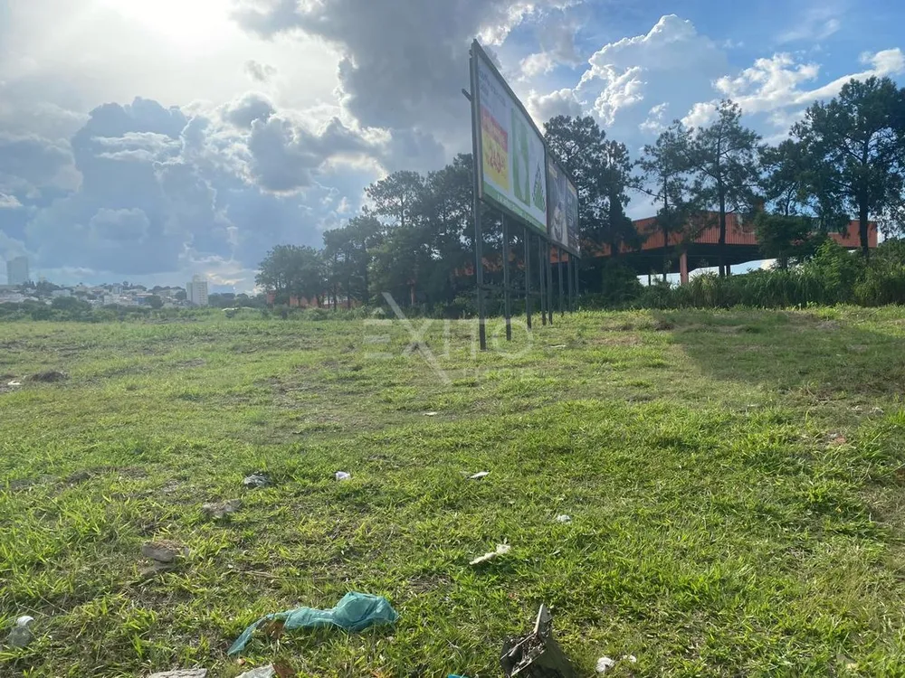 Terreno, 205 hectares - Foto 3