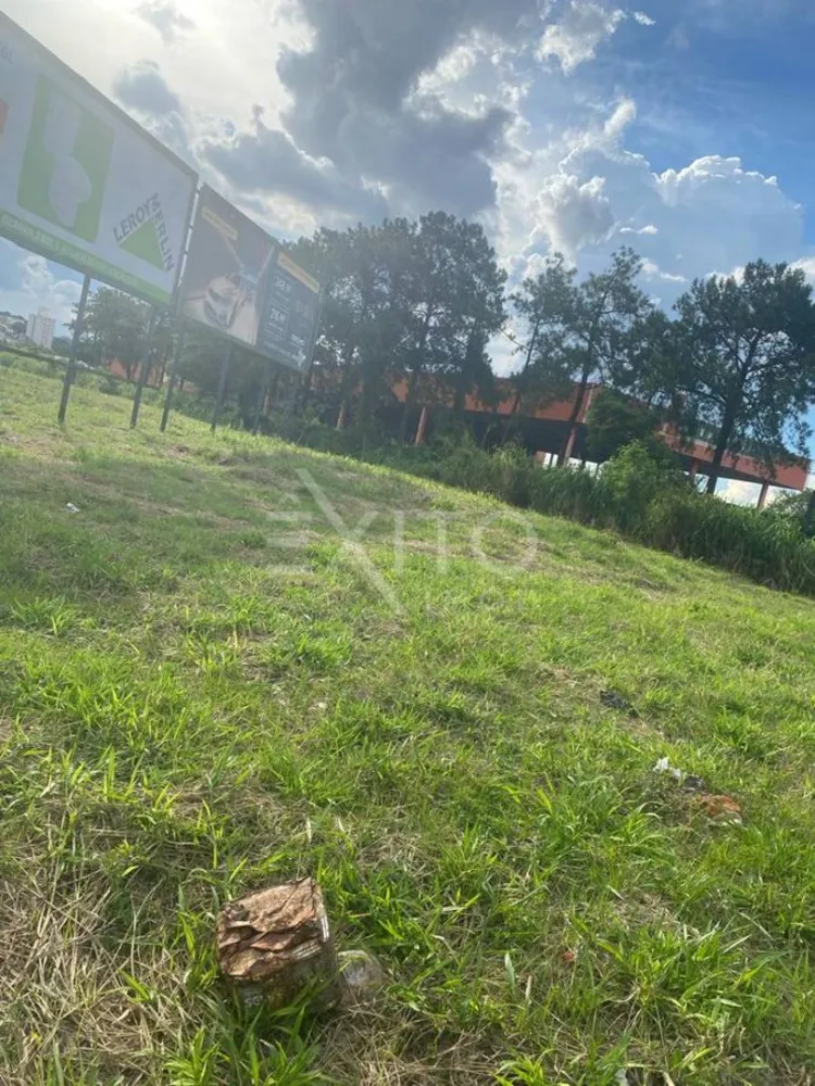 Terreno, 205 hectares - Foto 1