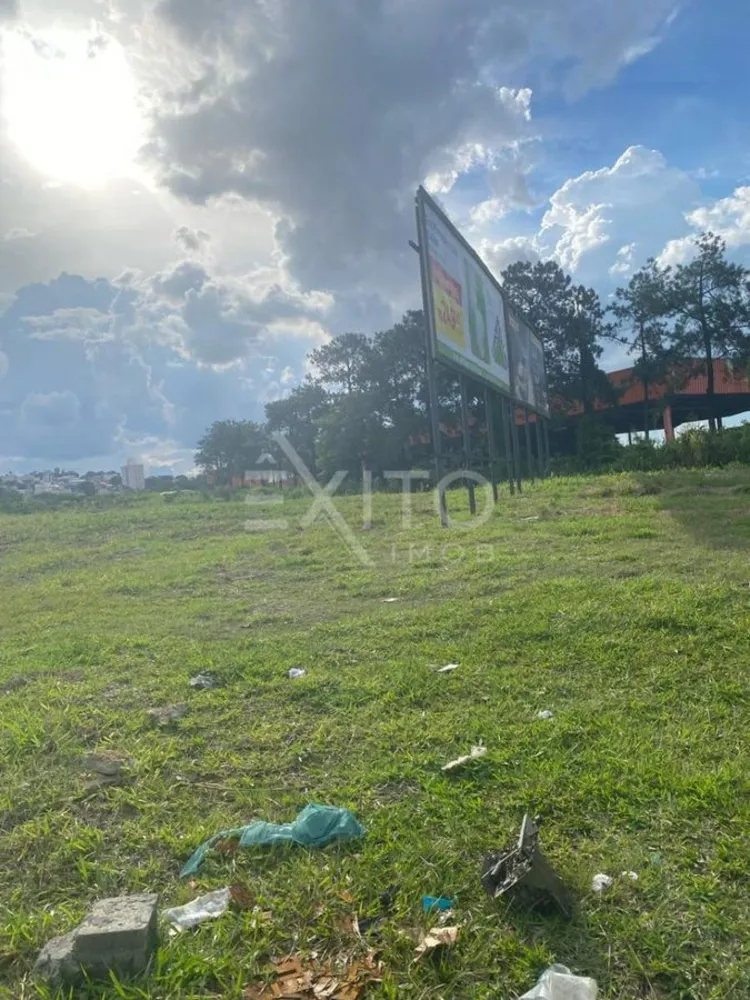 Terreno, 205 hectares - Foto 4
