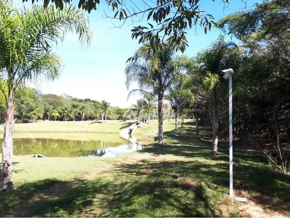 Terreno, 1231 m² - Foto 4