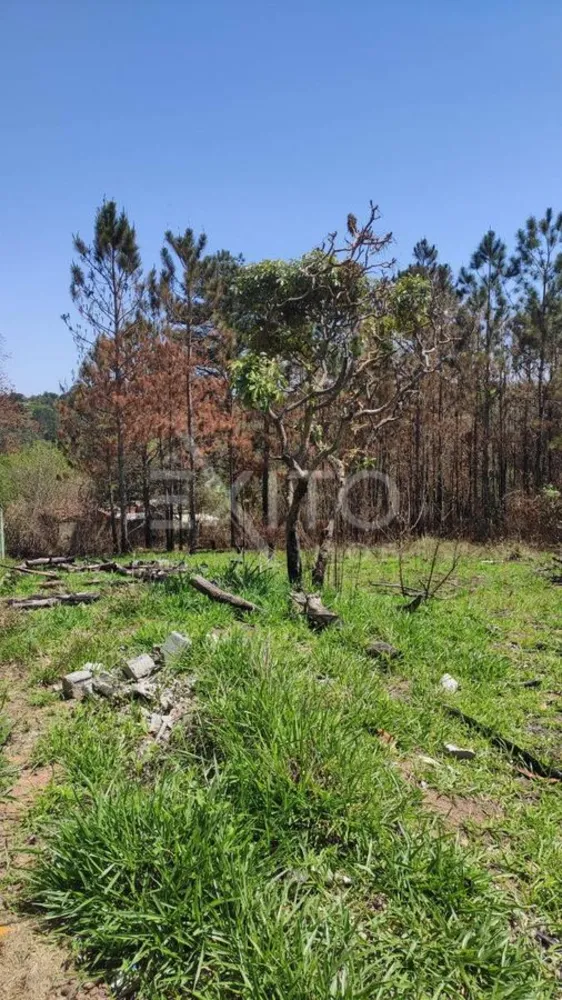 Terreno, 3213 m² - Foto 1