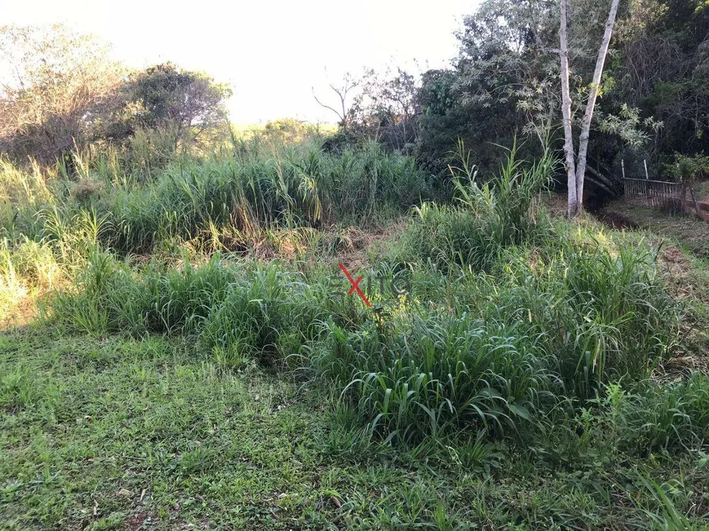 Terreno à venda, 5930M2 - Foto 3