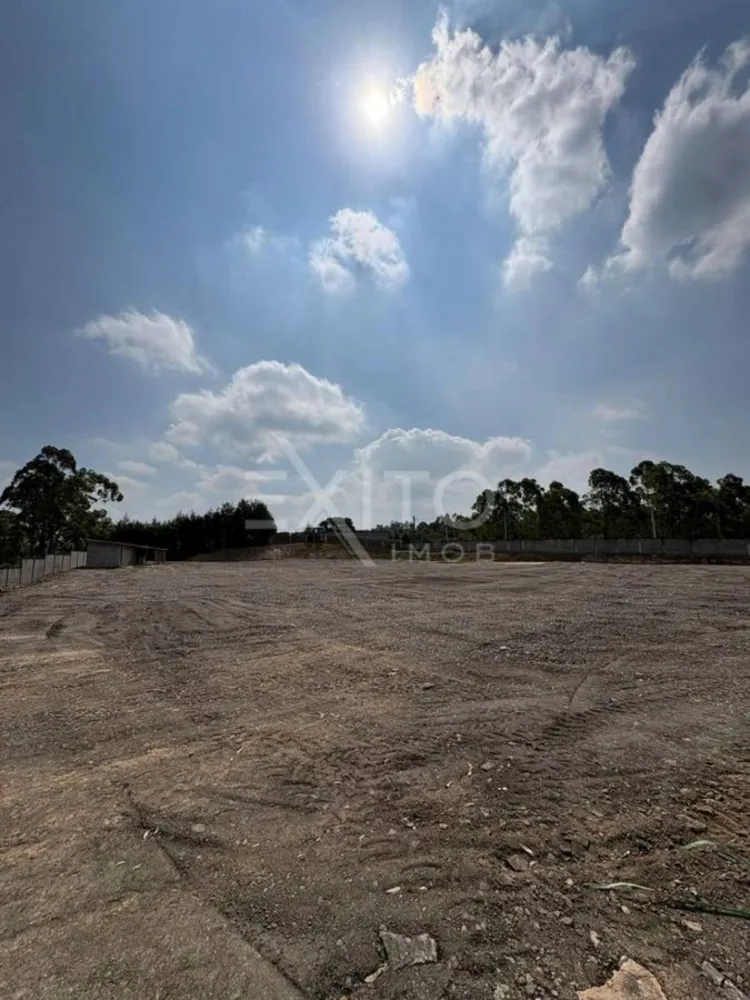 Depósito-Galpão, 10000 m² - Foto 8