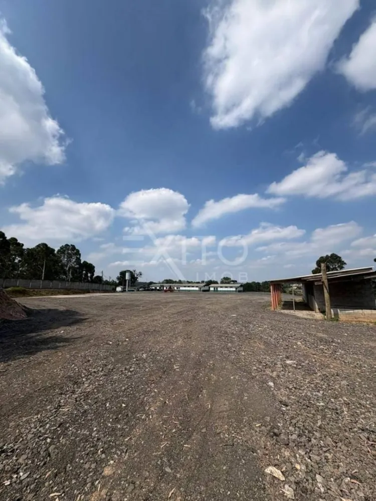 Depósito-Galpão, 10000 m² - Foto 2