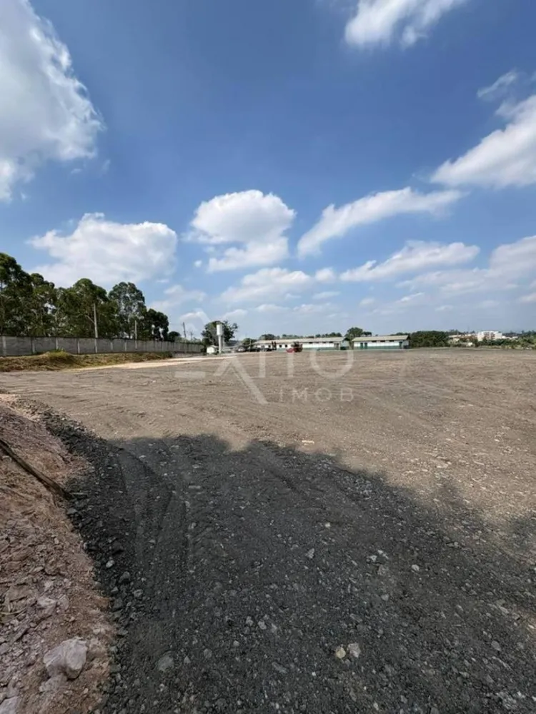 Depósito-Galpão, 10000 m² - Foto 5