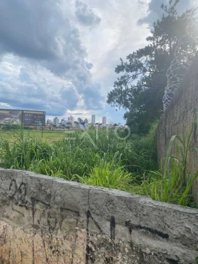 Terreno, 8 hectares - Foto 1