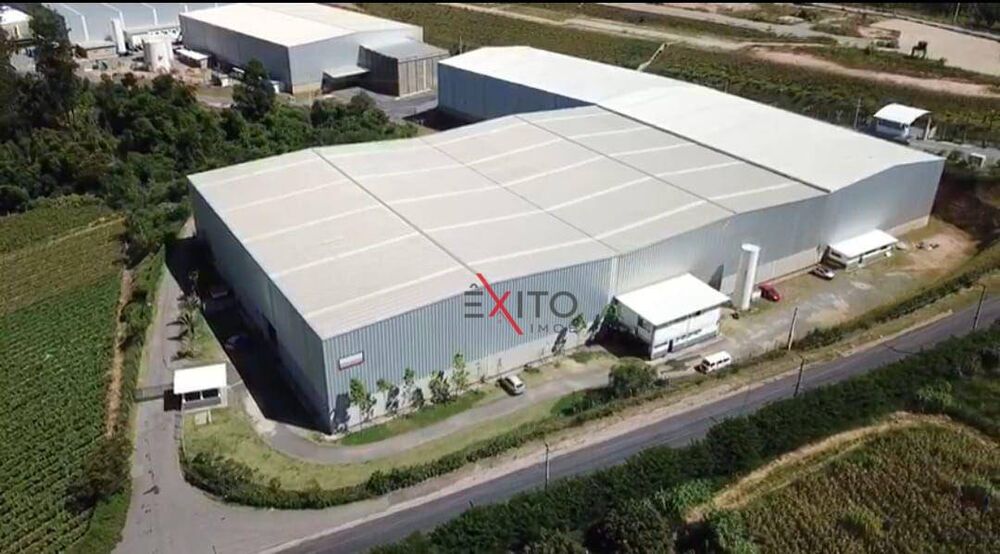 Depósito-Galpão, 6000 m² - Foto 6