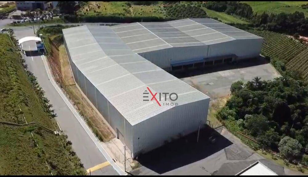 Depósito-Galpão, 6000 m² - Foto 4
