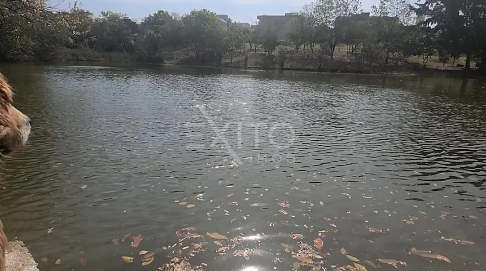 Terreno, 324 m² - Foto 4