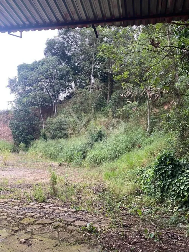 Terreno, 49 hectares - Foto 11