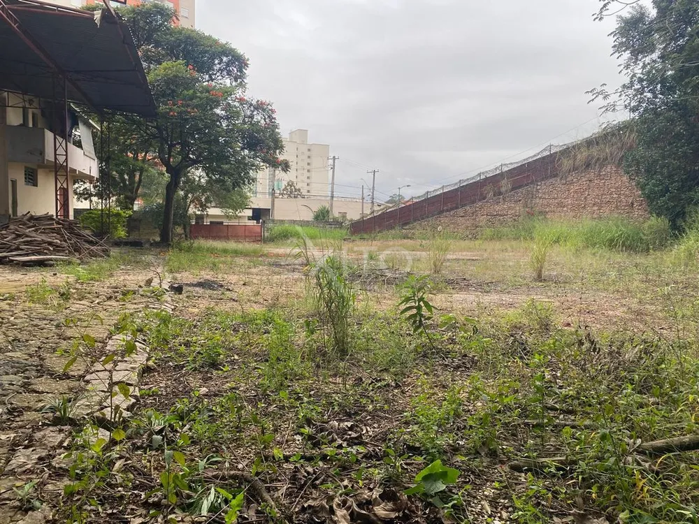 Terreno, 49 hectares - Foto 8