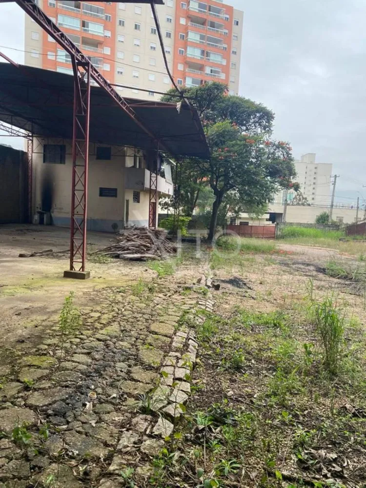 Terreno, 49 hectares - Foto 7