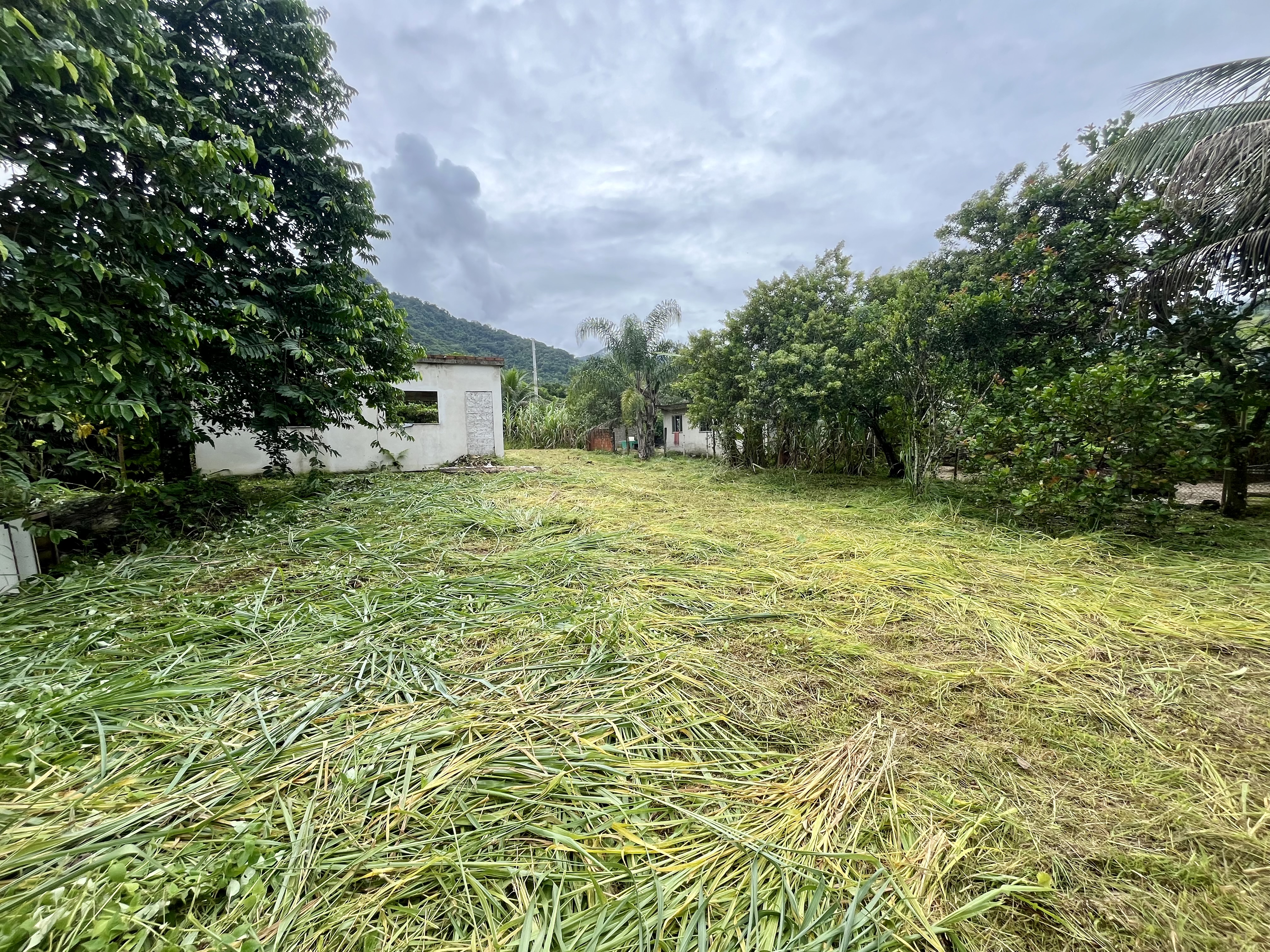 Terreno à venda com 2 quartos, 1000m² - Foto 11