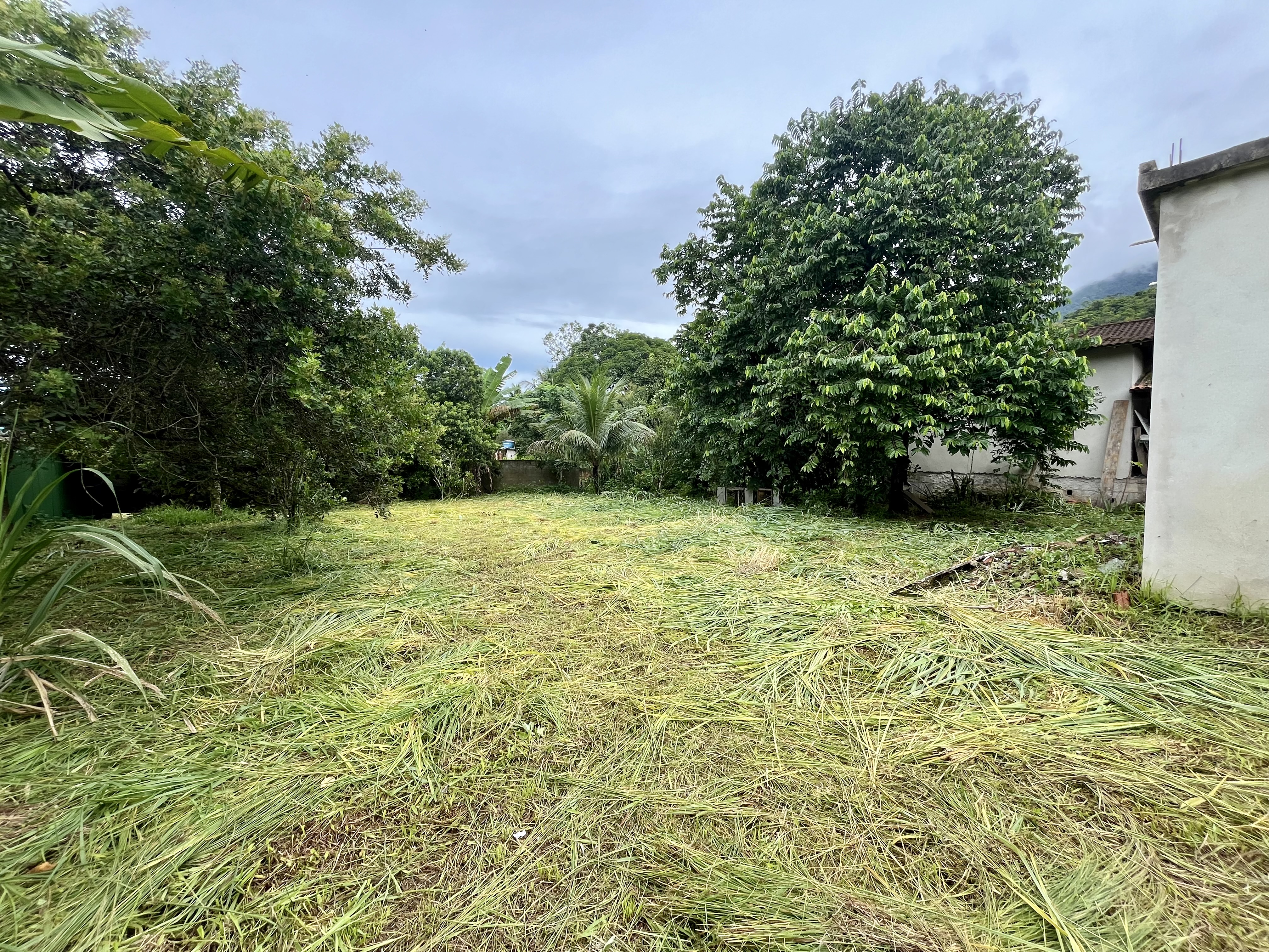 Terreno à venda com 2 quartos, 1000m² - Foto 8